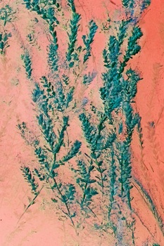 N 060G